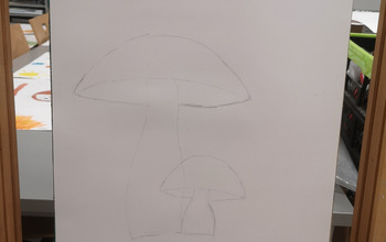 (photo)
