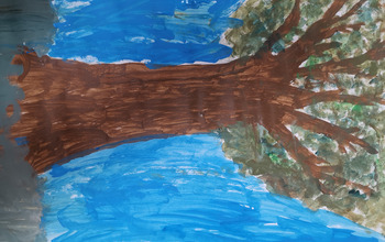 (photo)