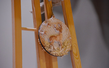 (photo)