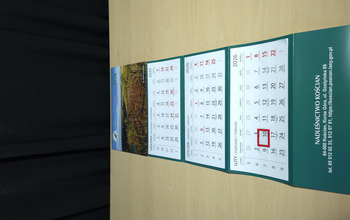 (photo)