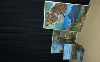 (photo)